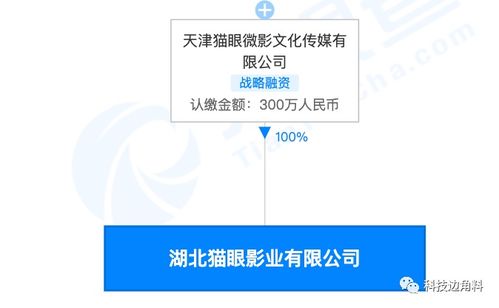 貓眼湖北影業公司成立 注冊資本300萬，加速廣播電視節目制作布局